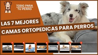 Las 7 mejores camas ortopedicas para perros [upl. by Izaak]