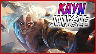 3 Minute Kayn Guide  A Guide for League of Legends [upl. by Harvie]