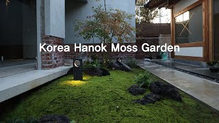 Creating a Moss Grden Between Korean Hanok buildings  한국 한옥 건물 사이에 이끼 정원 만들기 [upl. by Hodgkinson]