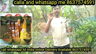 how to Pushalalima mangoplantPusha arunimamango plantmySahiNurseryAllIndia online DeliveryAvailable [upl. by Dubenko4]