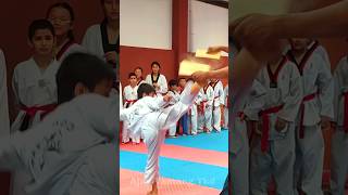 720° Kick 🦶 Board Break taekwondo kick ajaytamangtkd martialarts sports shorts [upl. by Sitra]