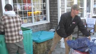 Oysters and clams arrive at Wellfleet OysterFest [upl. by Anamuj]