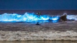 Unbelievable Bioluminescent Beach California [upl. by Tomasine]