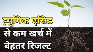 Humic Acid से भी कम खर्च💰में जडो का विकास कैसे करे [upl. by Garris]