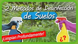 DESINFECCIÓN de SUSTRATO en la HUERTA CASERA Método ANTES de cultivar y Método DESPUÉS de sembrar [upl. by Oile233]