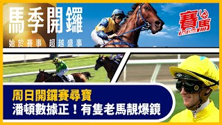 9月10日HKJC沙田馬場10場草地賽事 競馬拆解開鑼日寶藏！潘頓配金鑽貴人勢再贏特首盃 配能文能武、萬市之光有睇頭！老馬一舖縱橫試閘搶鏡 東方精神大跌分咪走雞！CC中文字幕賽馬FactCheck [upl. by Kessiah27]