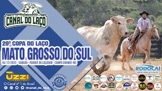 29° Copa do Laço de Mato Grosso do Sul  Parque do Laçador  Campo GrandeMS [upl. by Janene]