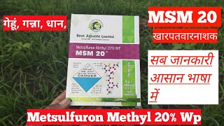 DOSIS HERBISIDA ALLY UNTUK SATU TANKI 16 LITER II METYL METSIFURON HERBICIDE DOSAGE [upl. by Aivatahs835]