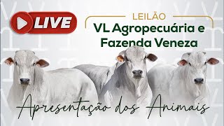 LIVE APRESENTAÇÃO DOS ANIMAIS  LEILÃO VL AGROPECUÁRIA E FAZENDA VENEZA  TOUROS NELORE PO [upl. by Ayikaz9]