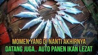 Kawanan Ikan Lezat ini Mampir di Dam Ijo Auto Panen [upl. by Aiam352]