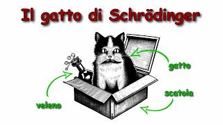 Il gatto di Schrödinger una semplice introduzione alle stranezze del mondo quantistico [upl. by Hoo448]