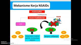 Farmakologi Antiinflamasi Antipiretik dan Antiinflamasi 2020 [upl. by Aracot]