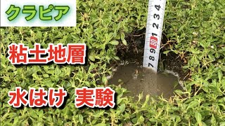 【予想外‼】クラピア 粘土地層の水はけ実験⁉どのくらいで浸透するの⁉ [upl. by Nirhtak]