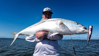 Monster Fish  Casting Into a Massive Feeding Frenzy [upl. by Harrow]