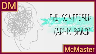 Understanding the scattered ADHD brain [upl. by Gilboa]