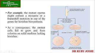 DNA Repair Lecture17 Online Class Mol Bio AMEStest BaseExcisionRepair CSIR [upl. by Ydoow]