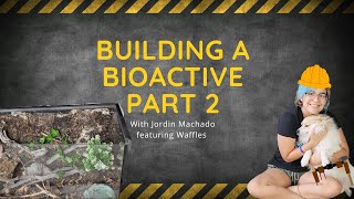 How to Build a Bioactive Custom Background [upl. by Martreb]