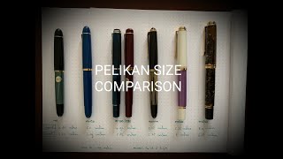 Pelikan Size Comparison [upl. by Shelbi452]