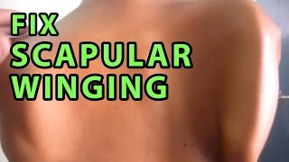 5 Exercises to Fix Winged Scapular  Scapular Stabilising Exercises [upl. by Garrek335]