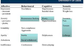 Mental Health in Primary Care  Allan House [upl. by Sly]