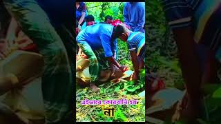 বলদ মার্কা হুজুর যখন গরু জবাই করে shortsviraltandigtastvideos4k [upl. by Waki]