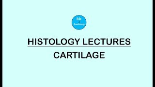 Histology lectures  Cartilage  Dr Ashok K R [upl. by Clementia]