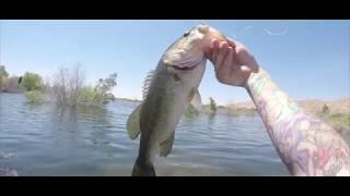 Fishing in Visalia California [upl. by Asilej]