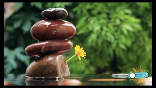 New Relaxing Music for Meditation and Healing Therapy  Gentle calming music for sleep and study🍒🍀🍒 [upl. by Moule593]