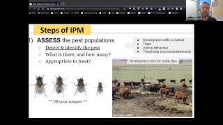 Prevent External Parasites from Bugging Your Cattle  BCRC Webinar [upl. by Halland322]