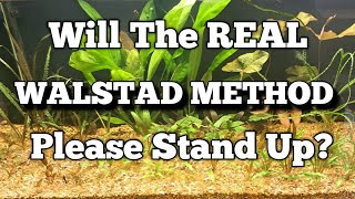 The True Walstad Method Understand the Science Behind Planted Tanks fish aquarium walstad [upl. by Amelus238]