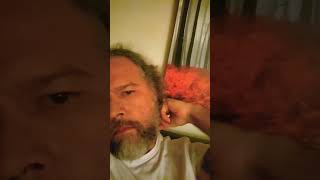 freeform dreadlocks 8 month update voice audio is from ParableoftheVineyard dreadlocs locs [upl. by Jarrod948]