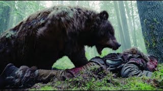 The Revenant Bear Attack Scene  Leonardo DiCaprio [upl. by Orlan462]