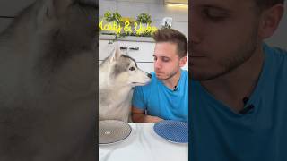 Provo ad INGANNARE il mio CANE🤭🐶😂 cane cani dog dogs dogchallenge [upl. by Archambault]