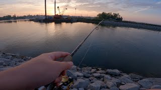 多伦多皮克林钓perch Ontario Frenchmans Bay Perch Fishing [upl. by Irrem842]