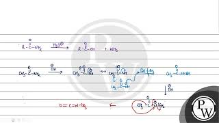 Acetamide is treated with the following reagents separately Which one of these would yield meth [upl. by Piwowar899]