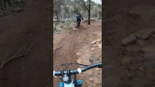 Mastering the Trails at Tippogoree Hills  MTB at Its Best mtb bikes [upl. by Germana]