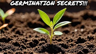 7 Tips for Successful Seed Germination [upl. by Sidran]