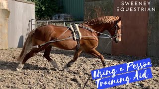 Using a Pessoa Training Aid to lunge  How to fit  Sweeney Equestrian [upl. by Eniluap]