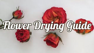 How to Dry Flowers 4 Methods [upl. by Reade]