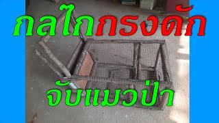 กลไก สลักเดือย กรงดักแมวป่าที่มากินไก่ต่อหูขาว Latch mechanism for animal trap cage  Jungle fowl [upl. by Nevetse]