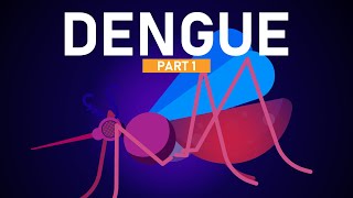 Dengue Explained in 5 Minutes [upl. by Bray]