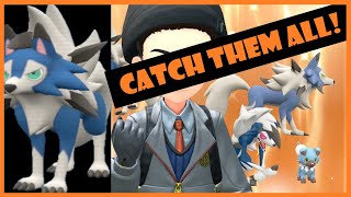 An InDepth Guide to Catch Shiny Rockruff and ALL Shiny Forms of Lycanroc [upl. by Silera185]