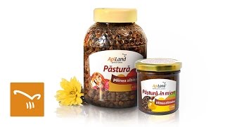 Detoxifiere naturală cu păstura de albine ApiLand [upl. by Kimber]