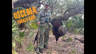 Osceola Turkey Hunt South Florida [upl. by Kosel679]