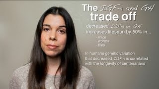 The IGF1 TradeOff Performance vs Longevity [upl. by Alekahs99]