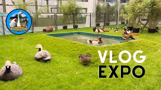 ÉNORME VLOG VISITE EXPOSITIONS AVICOLE [upl. by Delfeena]