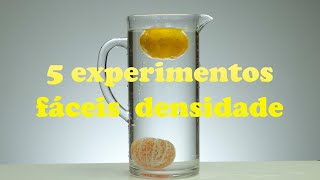 5 EXPERIMENTOS de FÍSICA densidade que você pode fazer em casa [upl. by Ragucci]