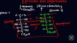 Epimers and Enantiomers  understanding stereochemistry [upl. by Lundin955]