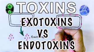 Overview of Toxins  Exotoxins Vs Endotoxins [upl. by Thierry]