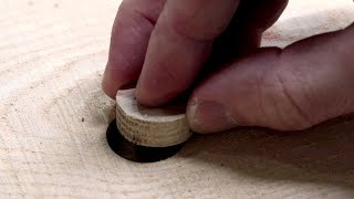 Make perfect plugs to cover defects in wood [upl. by Notyrb]